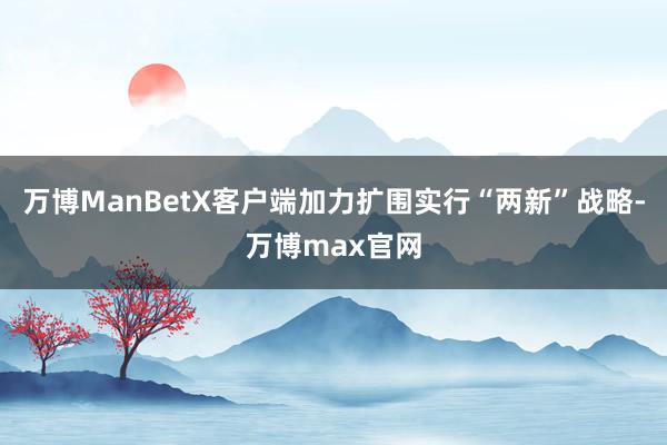 万博ManBetX客户端加力扩围实行“两新”战略-万博max官网