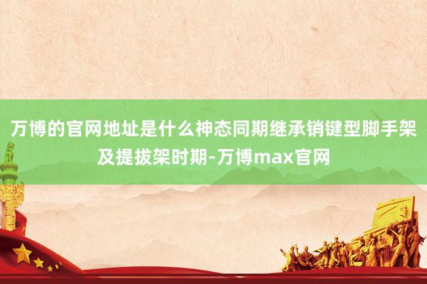 万博的官网地址是什么神态同期继承销键型脚手架及提拔架时期-万博max官网