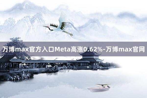 万博max官方入口Meta高涨0.62%-万博max官网