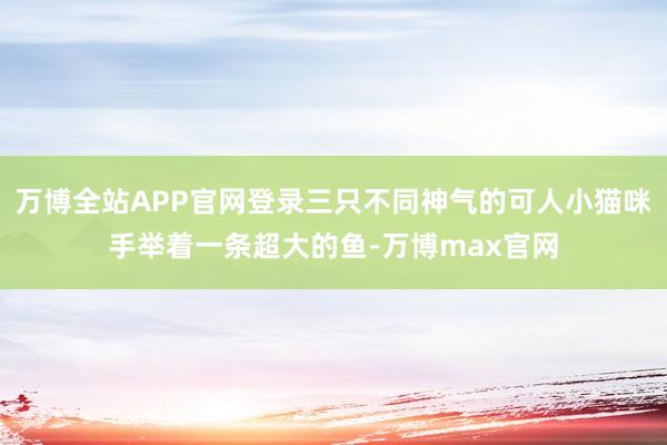 万博全站APP官网登录三只不同神气的可人小猫咪手举着一条超大的鱼-万博max官网