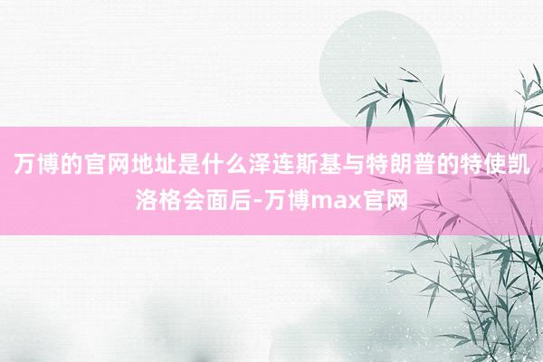万博的官网地址是什么泽连斯基与特朗普的特使凯洛格会面后-万博max官网