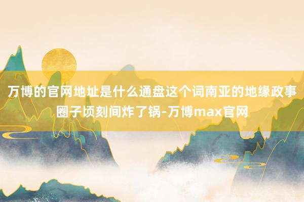 万博的官网地址是什么通盘这个词南亚的地缘政事圈子顷刻间炸了锅-万博max官网