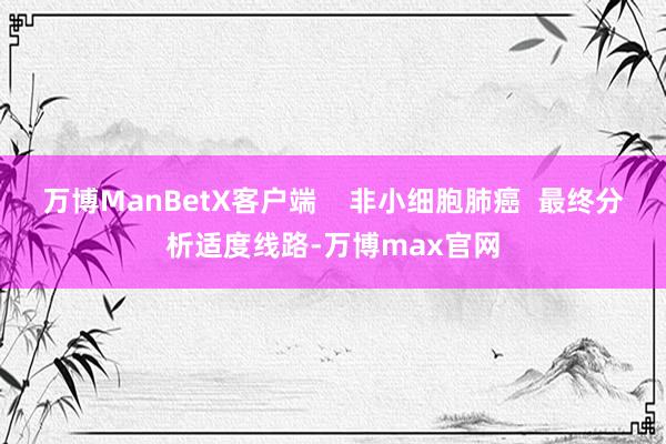 万博ManBetX客户端    非小细胞肺癌  最终分析适度线路-万博max官网