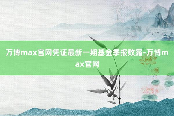 万博max官网凭证最新一期基金季报败露-万博max官网