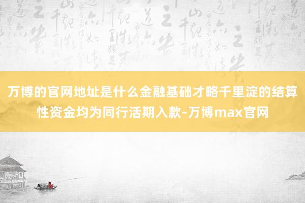 万博的官网地址是什么金融基础才略千里淀的结算性资金均为同行活期入款-万博max官网