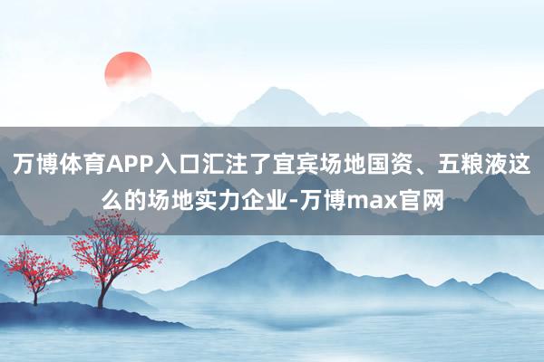 万博体育APP入口汇注了宜宾场地国资、五粮液这么的场地实力企业-万博max官网